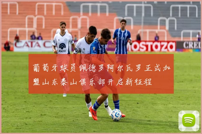 葡萄牙球员佩德罗阿尔瓦罗正式加盟山东泰山俱乐部开启新征程