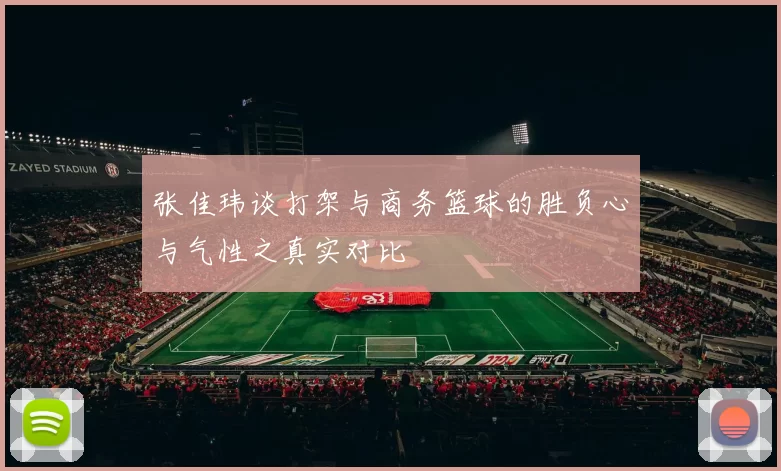 张佳玮谈打架与商务篮球的胜负心与气性之真实对比